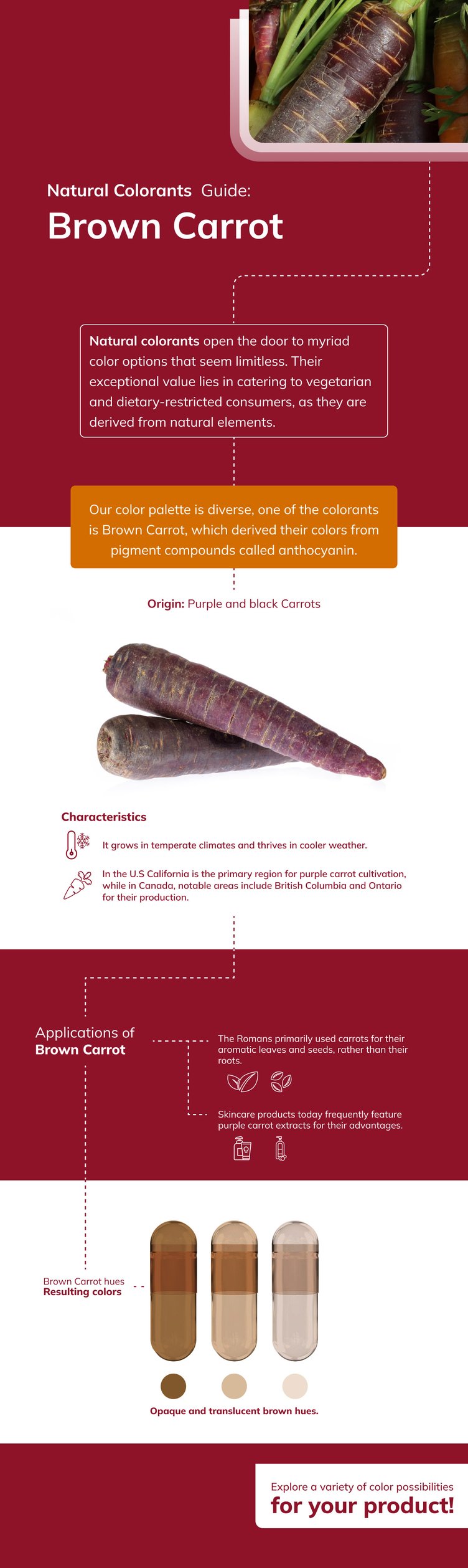 Brown Carrot natural colorant dye