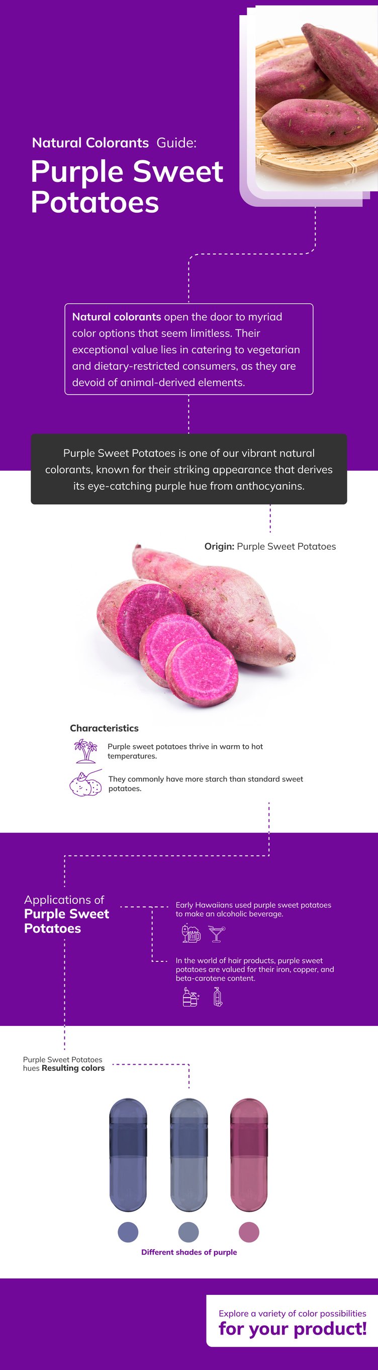 Infografia-Purple-Sweet-Potatoes-desktop-1