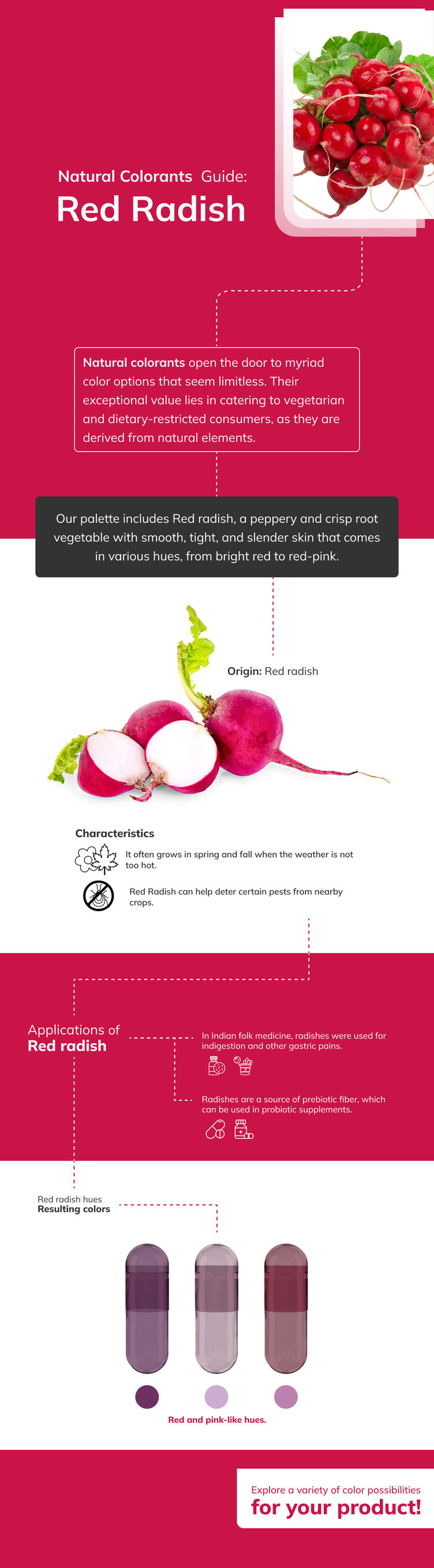 Infografia-Red-Radish-desktop