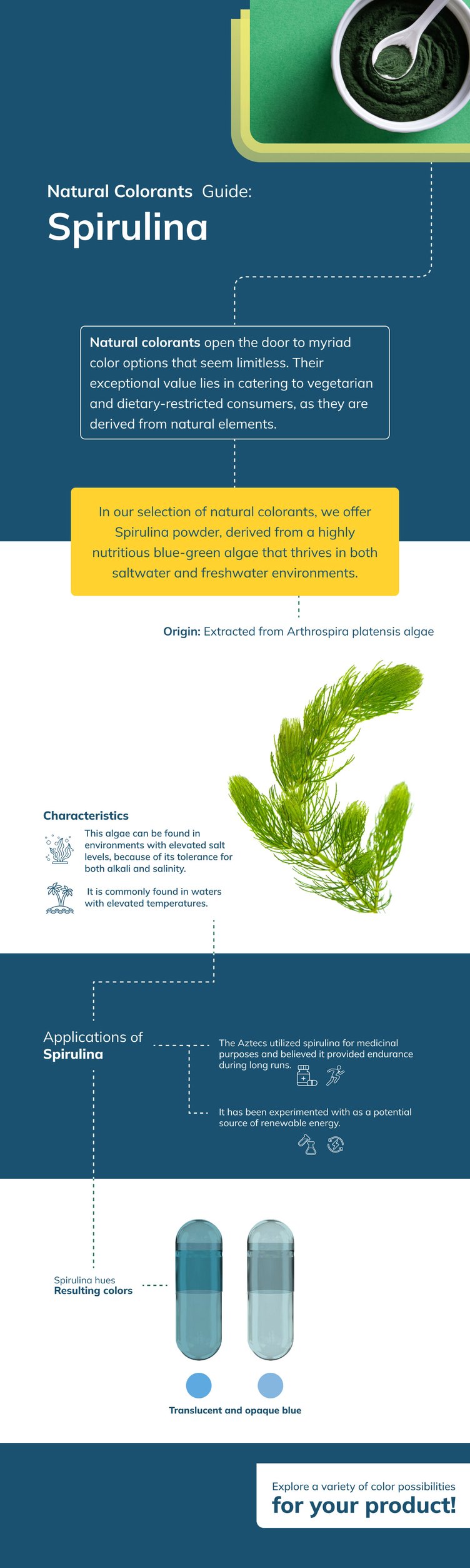 Infografia-spirulina-desk