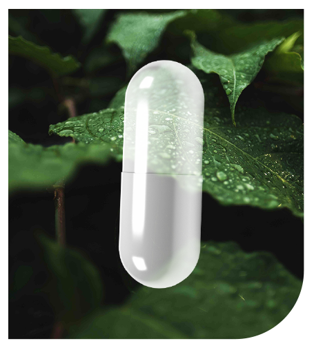 capsula-image