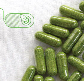 How to meet consumer demand for vegetarian capsules