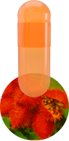 annato-capscanada-natural-colorants-capsules