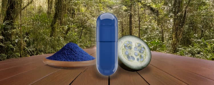 banner-blog-azul-de-jagua-jagua-blue-a-natural-colorant-from-colombia-to-the-world