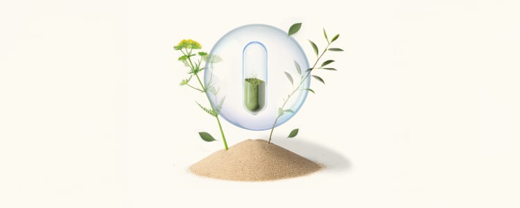 banner-blog-the-future-of-the-nutraceutical-Industry-4-key-trends-for-2025-2