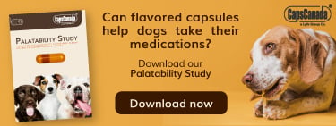 Palatability Study: flavored capsules for pets