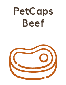 beef-icon