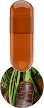 brown-carrot-capsule