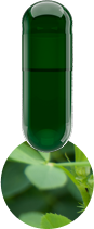 chlorophyll-capsule