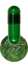 chlorophyllin-capscanada-natural-colorants-capsules