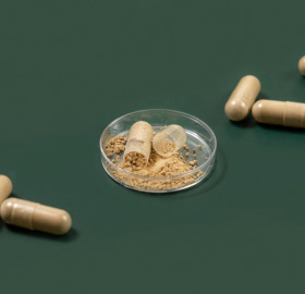 The History and evolution of Dietary Supplements