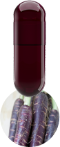 red-carrot-capsule