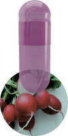 red-radish-capscanada-natural-colorants-capsules