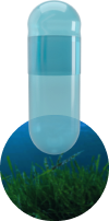 spirulina-capscanada-natural-colorants-capsules